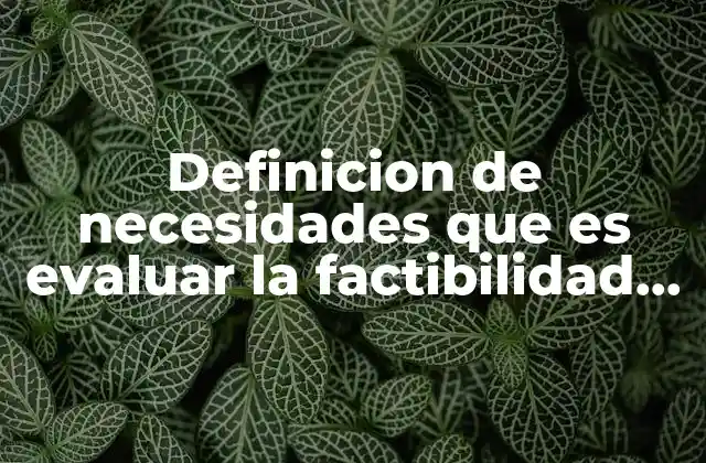 Definicion de Necesidades que es Evaluar la Factibilidad Del Sistema