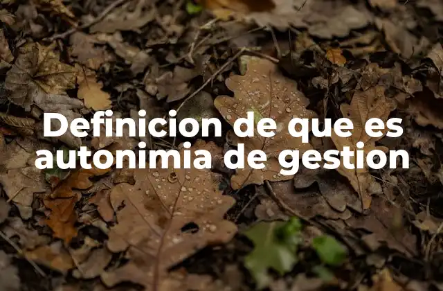 Definicion de que es Autonimia de Gestion