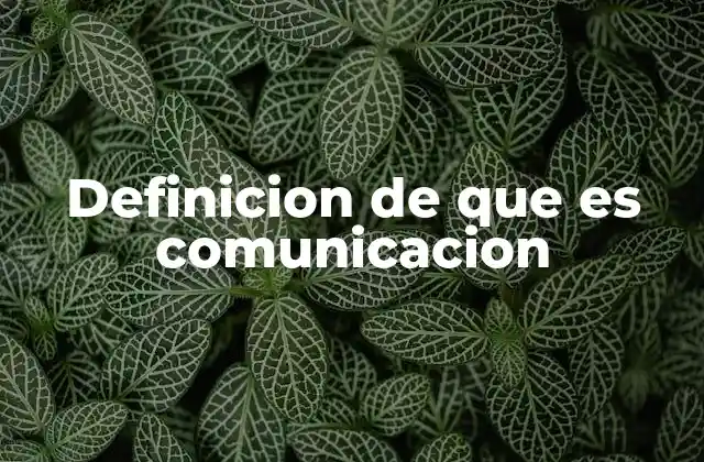 Definicion de que es Comunicacion
