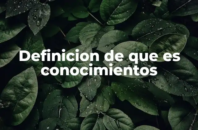 Definicion de que es Conocimientos