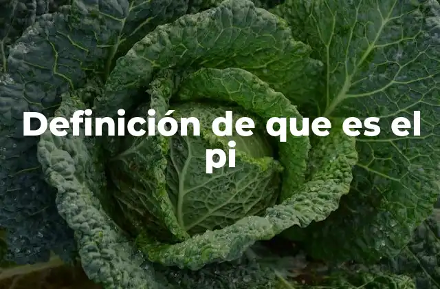 Definición de que es el Pi