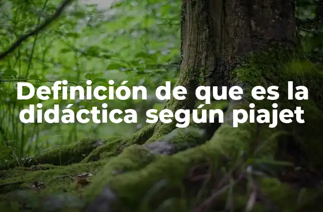 Definición de que es la Didáctica según Piajet