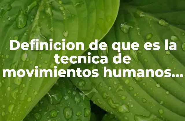 Definicion de que es la Tecnica de Movimientos Humanos Basicos