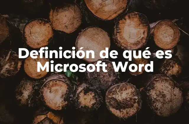 La importancia del software en la productividad moderna