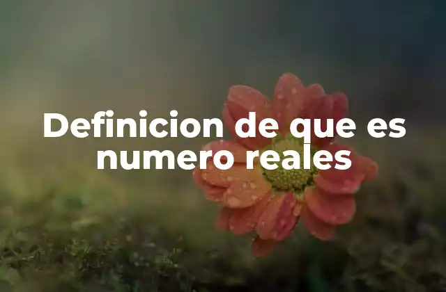 Definicion de que es Numero Reales