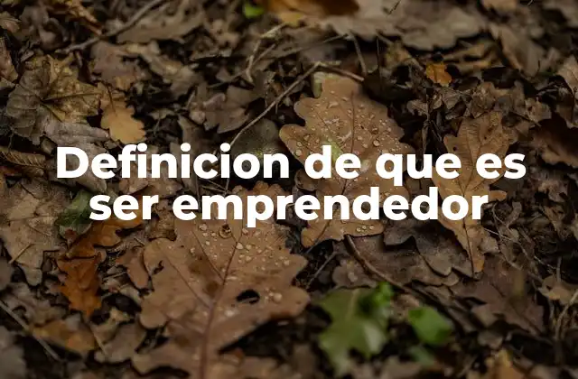 Definicion de que es Ser Emprendedor