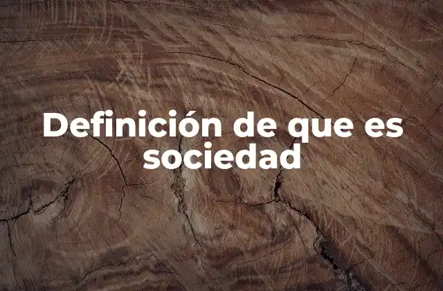 Definición de que es Sociedad