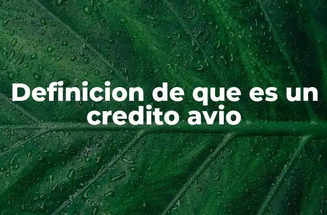Definicion de que es un Credito Avio 2 Características de los créditos avío