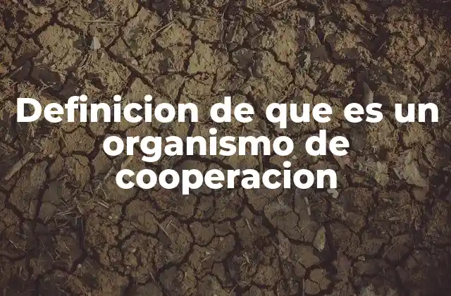 La importancia de las instituciones dedicadas a la colaboración internacional