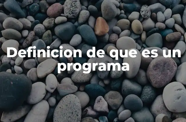 Definicion de que es un Programa