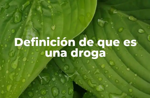 Definición de que es una Droga