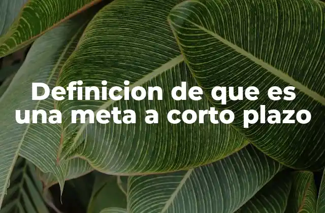 Definicion de que es una Meta a Corto Plazo