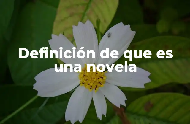 Definición de que es una Novela