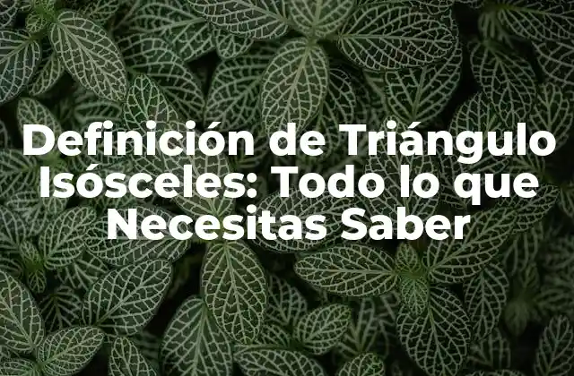Definición de Triángulo Isósceles: Todo Lo que Necesitas Saber 2 ¿Qué es un Triángulo Isósceles?