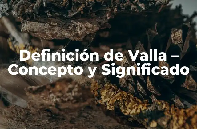 Definición de Valla – Concepto y Significado