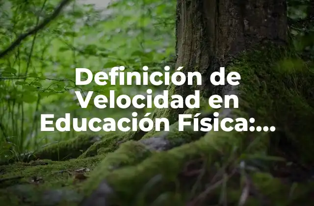 Definición de Velocidad en Educación Física: Entendiendo el Concepto