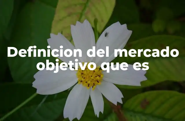 Definicion Del Mercado Objetivo que es