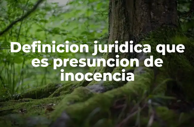 Definicion Juridica que es Presuncion de Inocencia