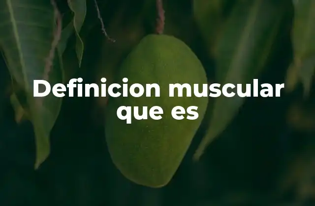 Definicion Muscular que es 2 La importancia de la definición muscular en la salud