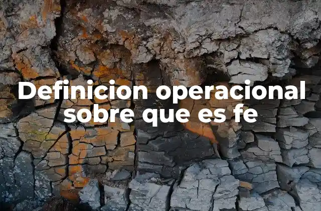 Definicion Operacional sobre que es Fe