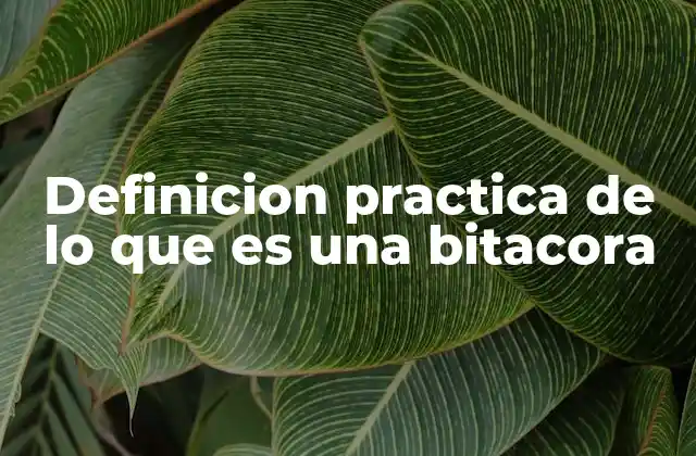 Definicion Practica de Lo que es una Bitacora