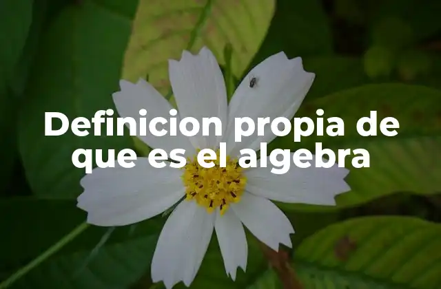 Definicion Propia de que es el Algebra