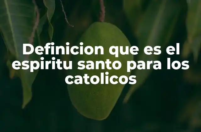 Definicion que es el Espiritu Santo para los Catolicos