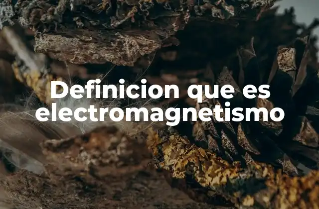 Definicion que es Electromagnetismo