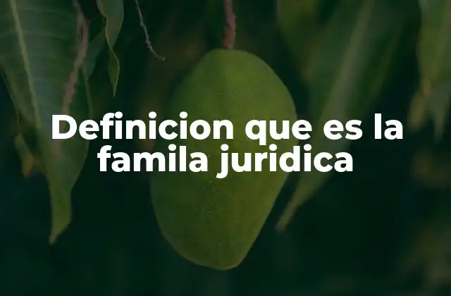 Definicion que es la Famila Juridica