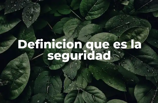 Definicion que es la Seguridad