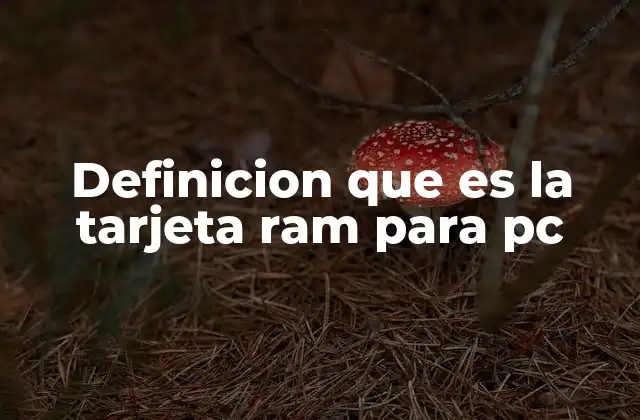 Definicion que es la Tarjeta Ram para Pc