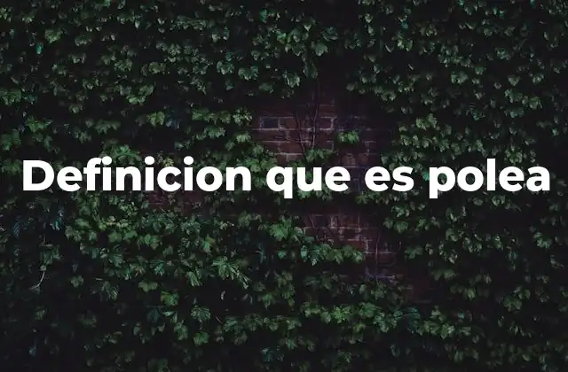 Definicion que es Polea 2 El papel de la polea en la física y la ingeniería