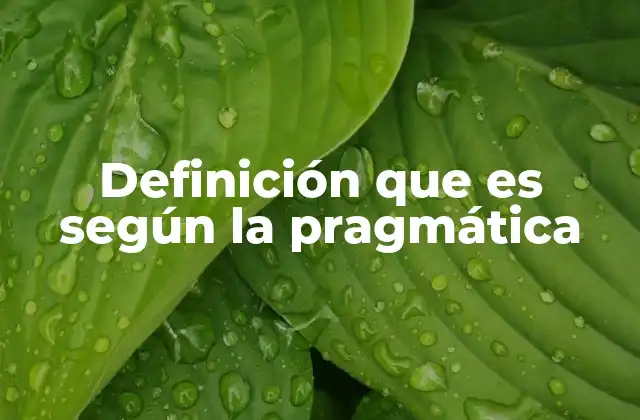 Definición que es según la Pragmática