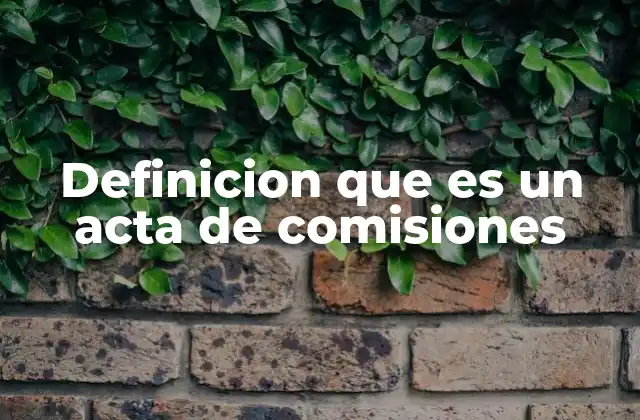 Definicion que es un Acta de Comisiones 2 El rol de las comisiones en el marco institucional