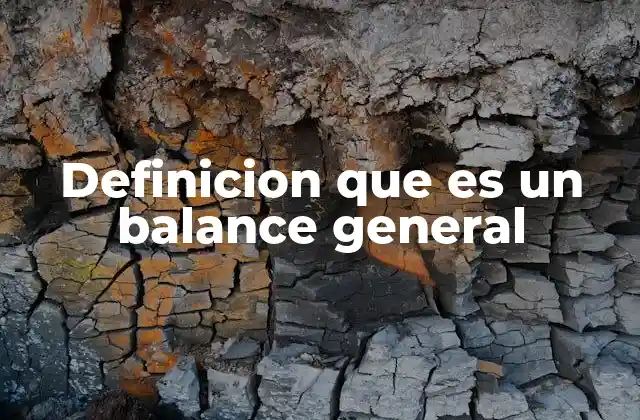 Definicion que es un Balance General