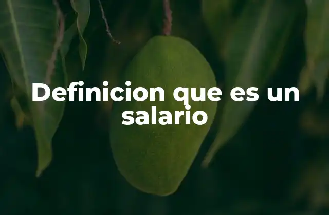 Definicion que es un Salario