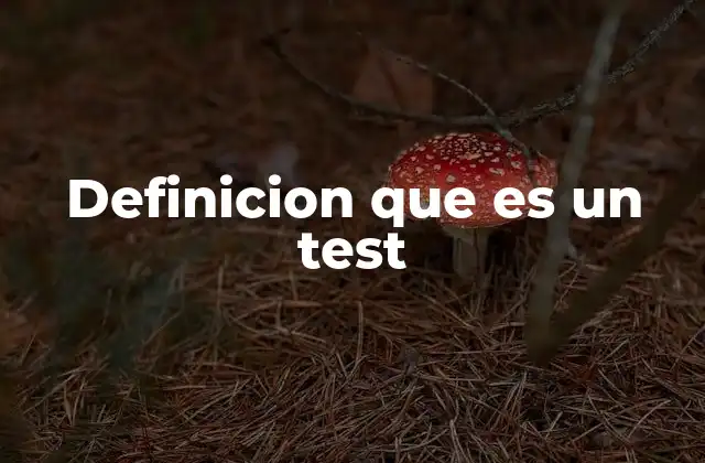 Definicion que es un Test