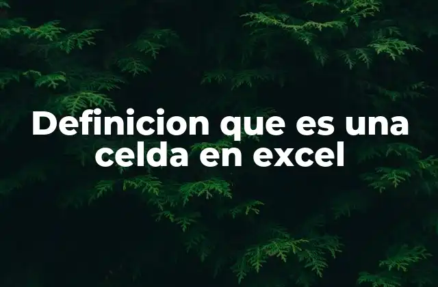 La estructura básica de una hoja de cálculo y sus componentes clave