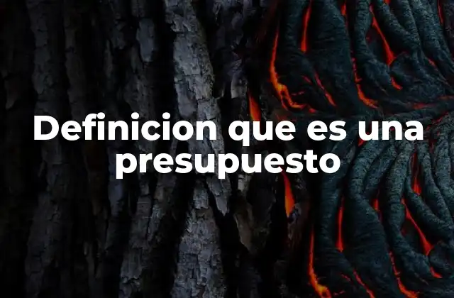 Definicion que es una Presupuesto