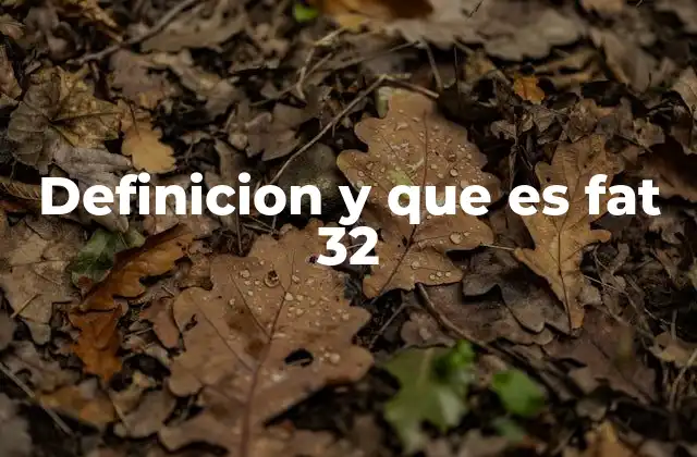 Definicion y que es Fat 32