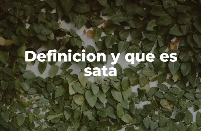 Definicion y que es Sata