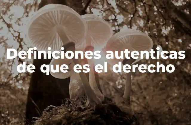 Definiciones Autenticas de que es el Derecho