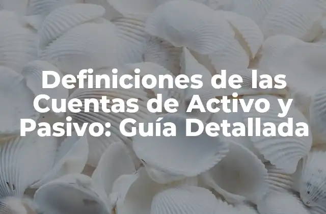 Definiciones de las Cuentas de Activo y Pasivo: Guía Detallada