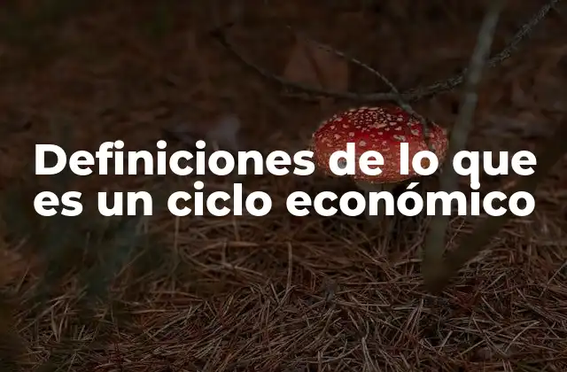 Definiciones de Lo que es un Ciclo Económico
