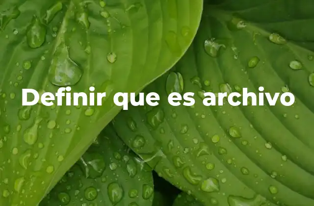 Definir que es Archivo