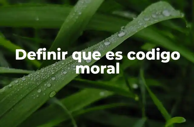 Definir que es Codigo Moral