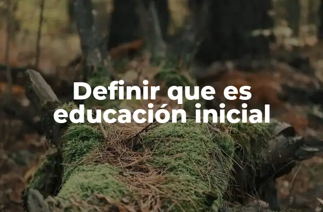 Definir que es Educación Inicial