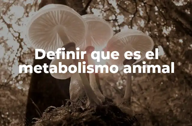 Definir que es el Metabolismo Animal