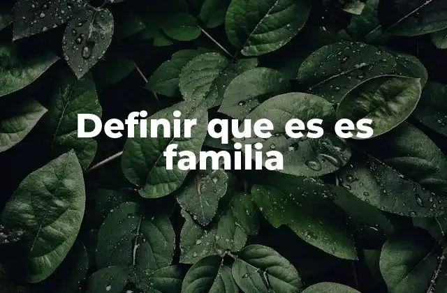 Definir que es es Familia
