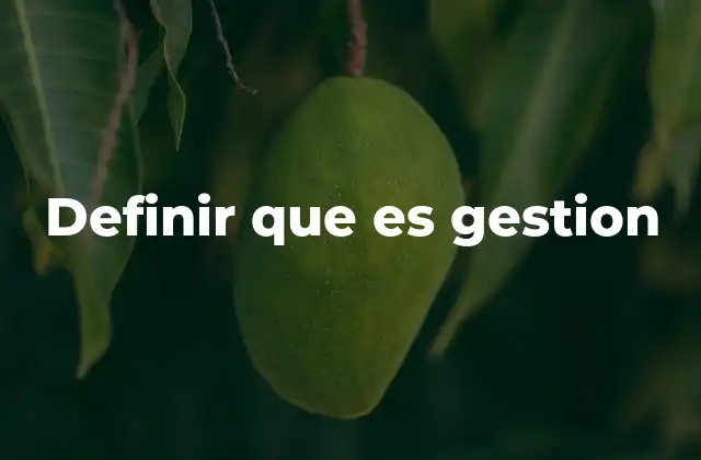Definir que es Gestion